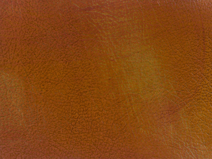 L-Lucerne Harvest by Kravet Couture Fabric