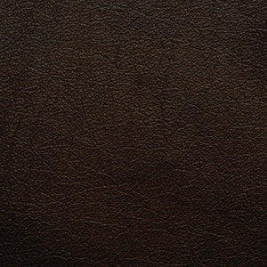 L-Portofin-Chocolate by Kravet Design Fabric