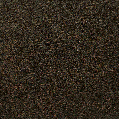 L-Rodeo Cigar by Kravet Design Fabric