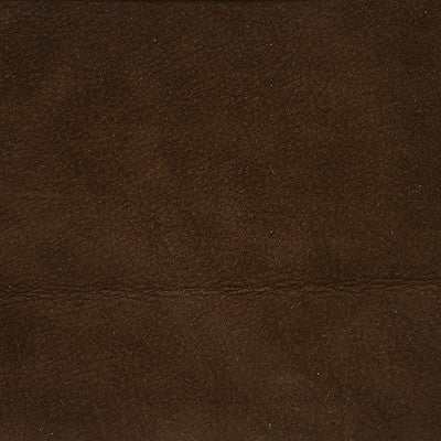 L-Saguaro-Mocha by Kravet Design Fabric