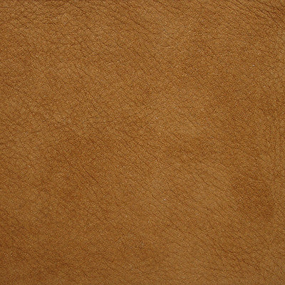 L-Saguaro-Sand by Kravet Design Fabric