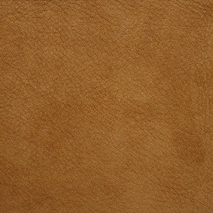 L-Saguaro-Sand by Kravet Design Fabric