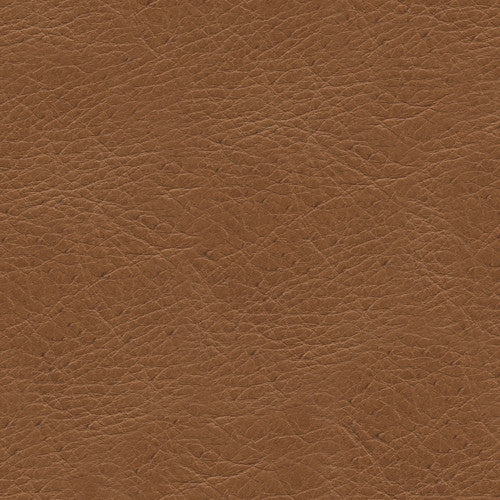 L-Timeless-Desert by Kravet Design Fabric