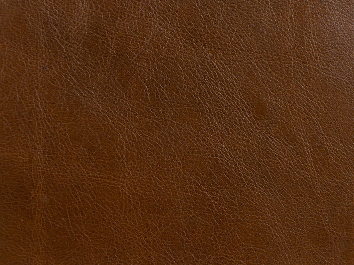 L-Timeless-Saddle by Kravet Design Fabric
