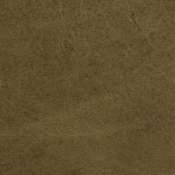 L-Utah Basil by Kravet Design Fabric