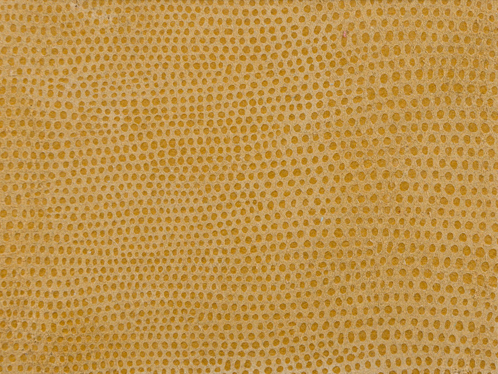 L-Vavoom Coin by Kravet Design Fabric