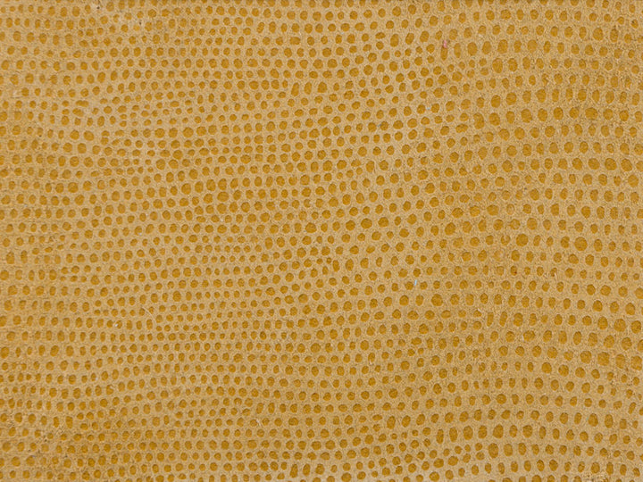 L-Vavoom Coin by Kravet Design Fabric