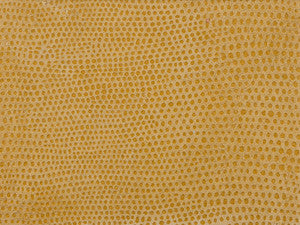 L-Vavoom Coin by Kravet Design Fabric