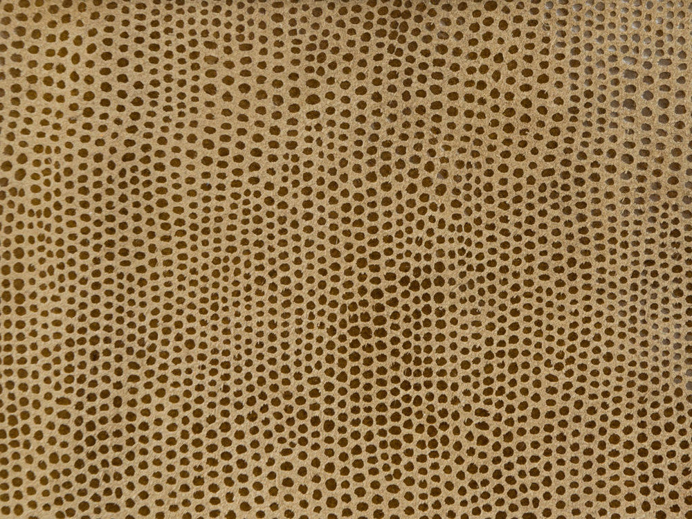 L-Vavoom Tawny by Kravet Design Fabric