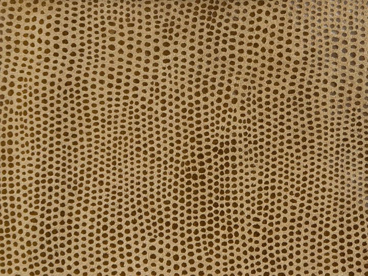 L-Vavoom Tawny by Kravet Design Fabric