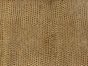 L-Vavoom Tawny by Kravet Design Fabric