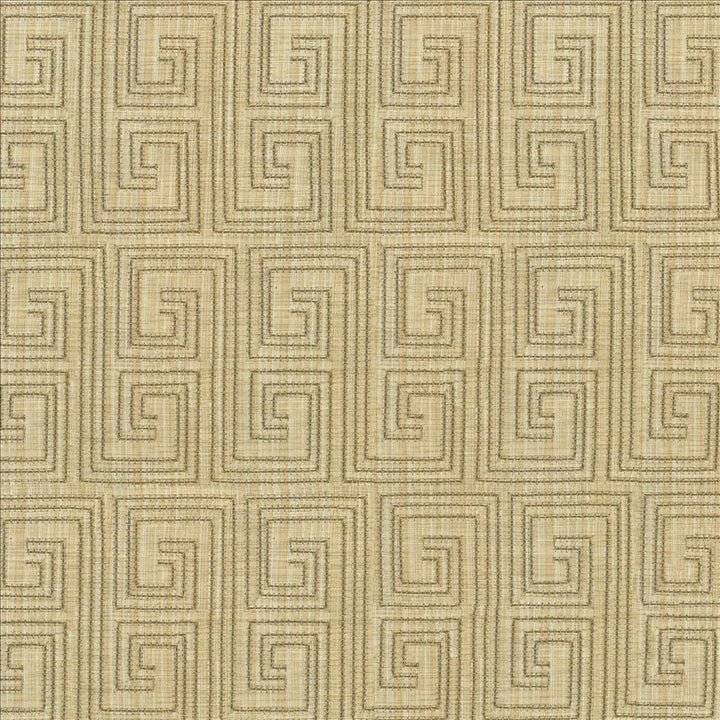 Labyrinth Dune by Kasmir Fabric 1443 65% Cotton
35% Polyester
Embroidery
100% Rayon
 INDIA </p><p>Repeat: Horizontal: 3 2/8 inches and Vertical: 6 1/8 inches 52 - 55 - Fabric Carolina -