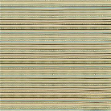 Lages Stripe Celery by Kasmir Fabric 1420 100% Polyester CHINA 9,000 Wyzenbeek Double Rubs H: N/A, V: 10 inches 58 - Fabric Carolina - Kasmir