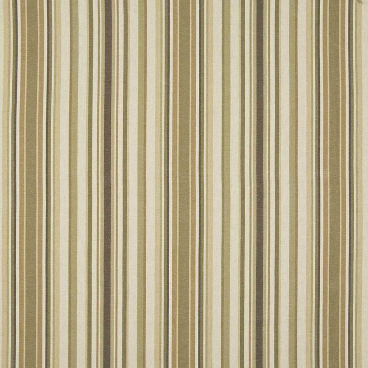 Laguna Stripe Earthen by Kasmir Fabric 1391 TURKEY 66,000 Wyzenbeek Double Rubs H: 13 4/8 inches, V:N/A 54 - Fabric Carolina - Kasmir