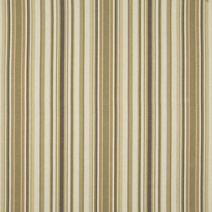 Laguna Stripe Earthen  by Kasmir Fabric See sample 88% Cotton
12% Rayon
 TURKEY 66,000 Wyzenbeek Double Rubs </p><p>Repeat: Horizontal: 13 4/8 inches and Vertical: N/A 54  - Fabric Carolina -