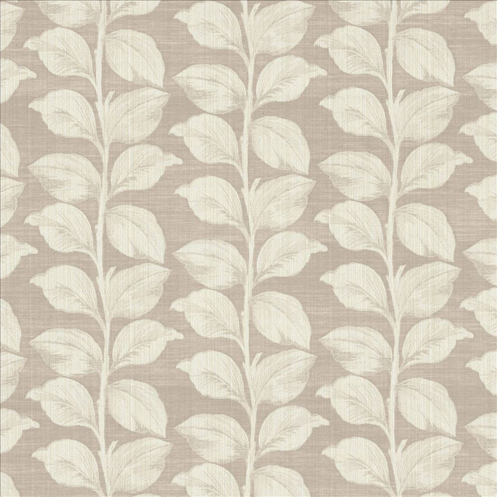 Lakeshore Dove by Kasmir Fabric 1449 67% Polyester
33% Cotton
 INDIA 28,000 Martindale Cycles Horizontal: 13 6/8 inches and Vertical: 8 6/8 inches 53 - Fabric Carolina -