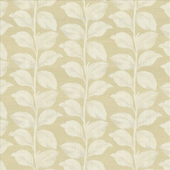 Lakeshore Linen by Kasmir Fabric 1449 67% Polyester
33% Cotton
 INDIA 28,000 Martindale Cycles </p><p>Repeat: Horizontal: 13 6/8 inches and Vertical: 8 6/8 inches 53 - Fabric Carolina -