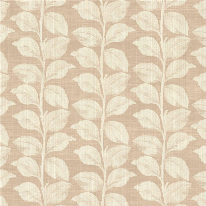 Lakeshore Rose Quartz  by Kasmir Fabric See sample 67% Polyester
33% Cotton
 INDIA 28,000 Martindale Cycles </p><p>Repeat: Horizontal: 13 6/8 inches and Vertical: 8 6/8 inches 53  - Fabric Carolina -