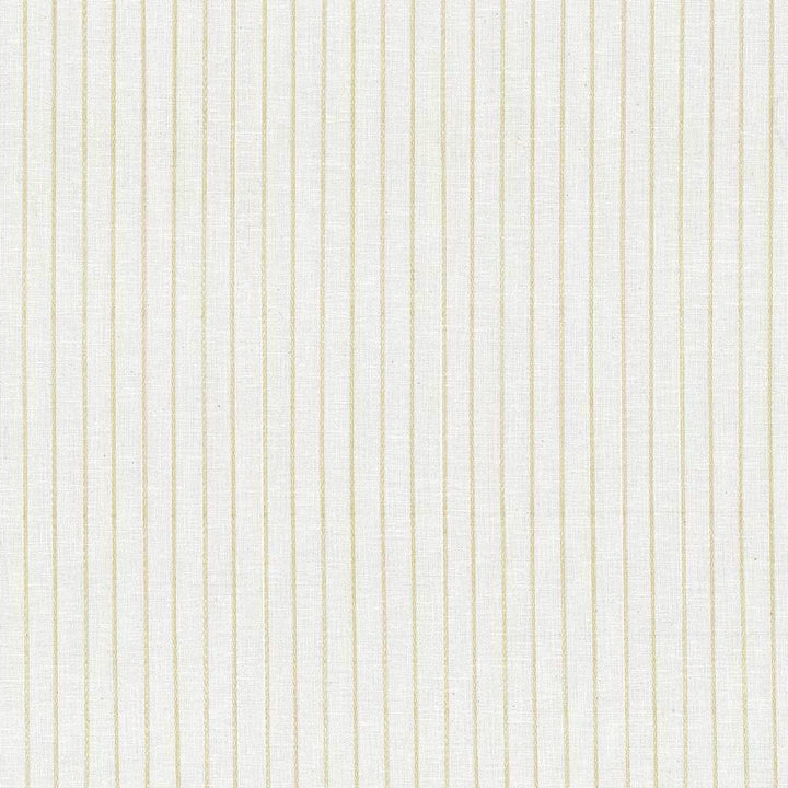 Lane Stripe Natural by Kasmir Fabric 5035 TURKEY Not Tested H: 4/8 inches, V:N/A 54 - Fabric Carolina - Kasmir