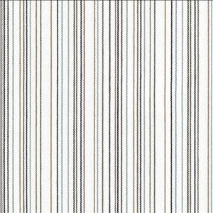 Larson Stripe Charcoal by Kasmir Fabric