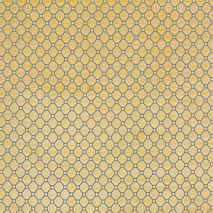 Calabrez Amarillo by Gaston Y Daniela Fabric