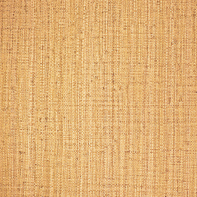 Ayllon Paja by Gaston Y Daniela Wallcovering