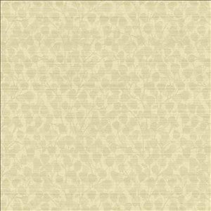 Leaf Overlay Cream by Kasmir Fabric