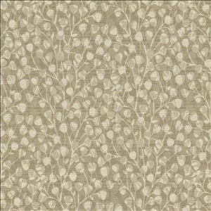 Leaf Overlay Mocha by Kasmir Fabric