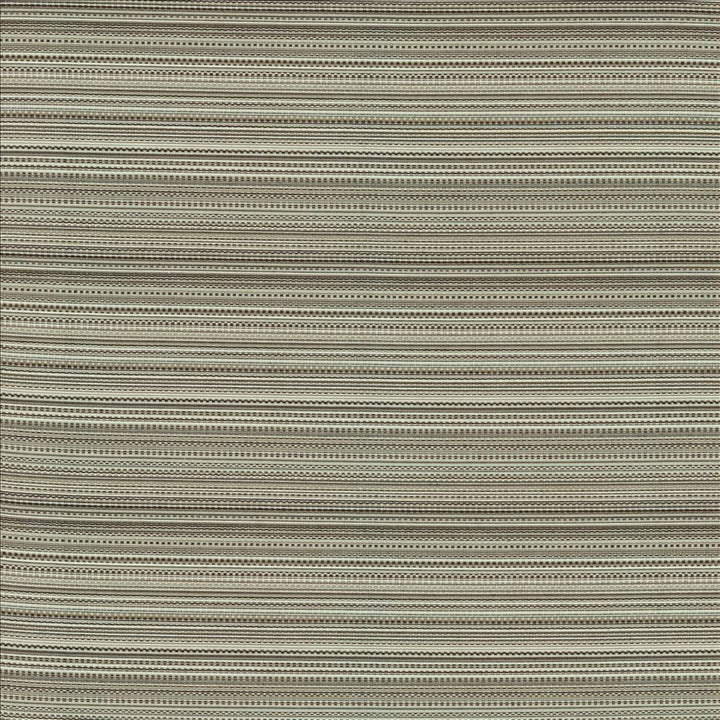 Legendary Graphite by Kasmir Fabric 5144 69% Rayon
31% Polyester
 USA 15,000 Wyzenbeek Double Rubs Horizontal: N/A and Vertical: 5 6/8 inches 54 - Fabric Carolina -