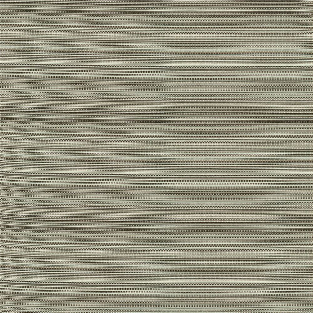Legendary Graphite by Kasmir Fabric 5144 69% Rayon
31% Polyester
 USA </p><p>Repeat: Horizontal: N/A and Vertical: 5 6/8 inches 54 - Fabric Carolina -
