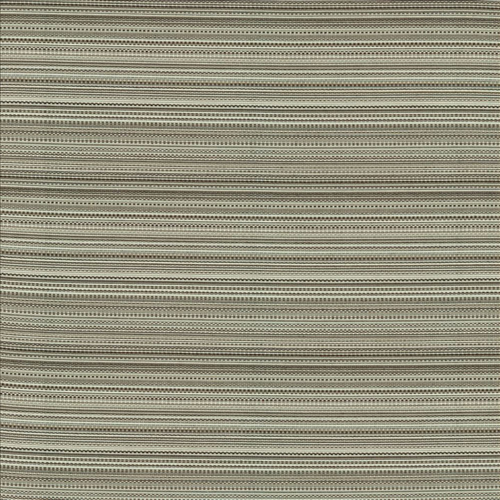 Legendary Graphite by Kasmir Fabric 5144 69% Rayon
31% Polyester
 USA </p><p>Repeat: Horizontal: N/A and Vertical: 5 6/8 inches 54 - Fabric Carolina -