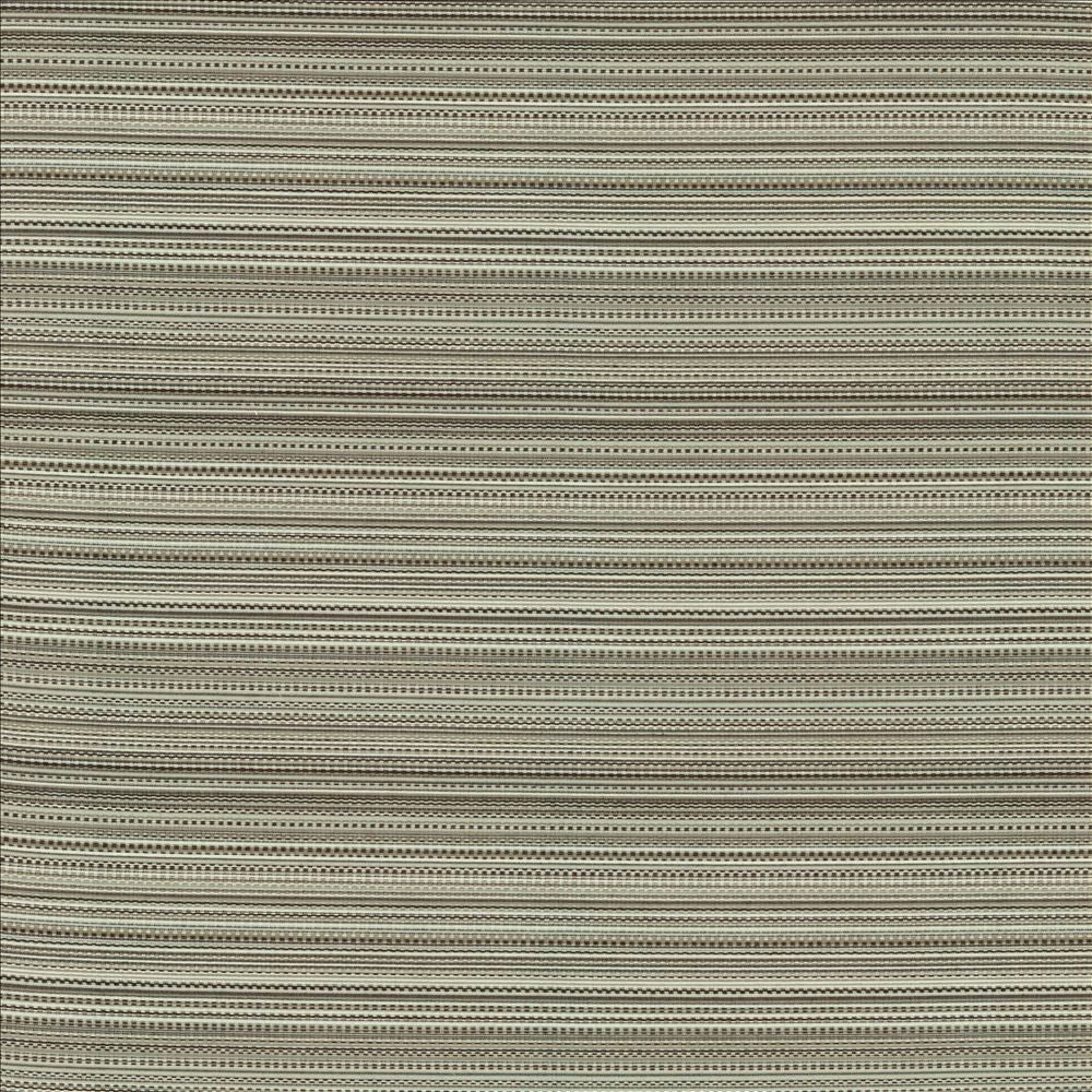 Legendary Graphite by Kasmir Fabric 5144 69% Rayon 31% Polyester USA 15,000 Wyzenbeek Double Rubs Horizontal: 0 Inches and Vertical: 5 6/8 inches 54 - Fabric Carolina -