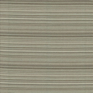 Legendary Graphite by Kasmir Fabric