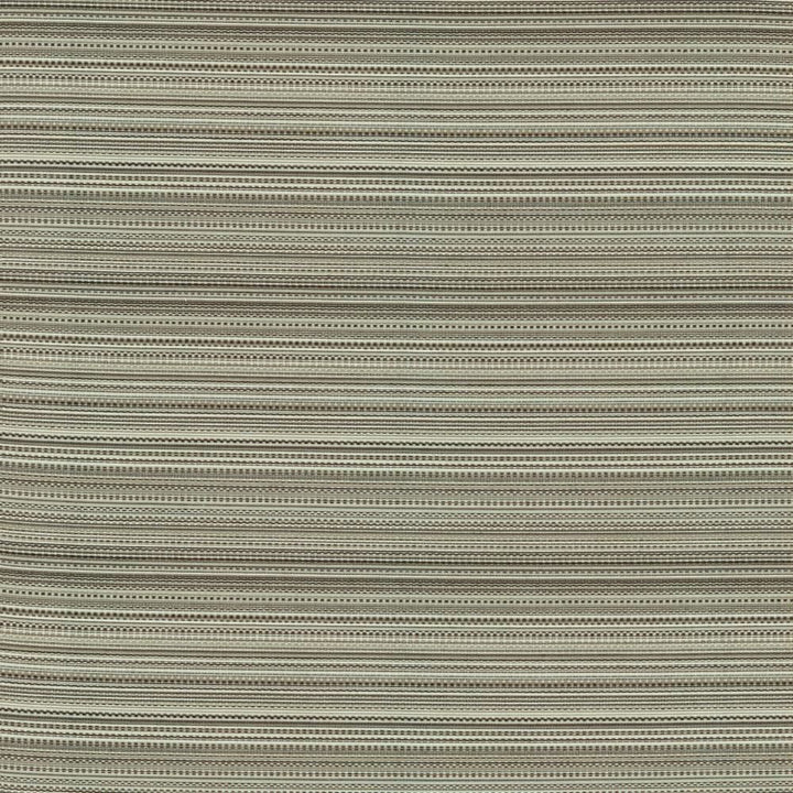 Legendary Graphite by Kasmir Fabric 5144 69% Rayon
31% Polyester
 USA </p><p>Repeat: Horizontal: N/A and Vertical: 5 6/8 inches 54 - Fabric Carolina -