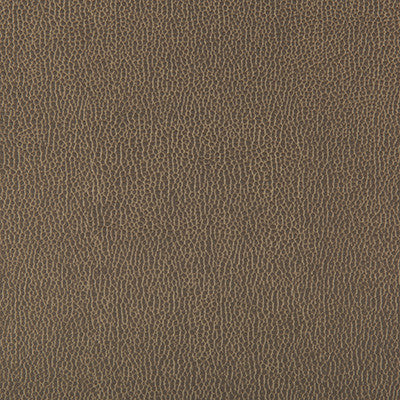 Lenox Elephant by Kravet Contract Fabric