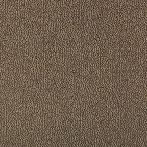 Lenox Elephant by Kravet Contract Fabric