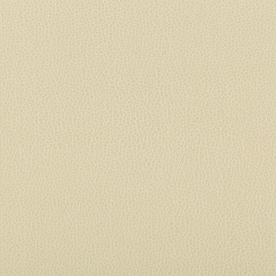 Lenox Papyrus by Kravet Contract Fabric