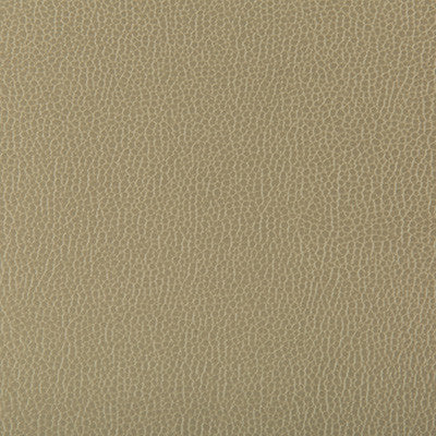 Lenox Elm by Kravet Contract Fabric