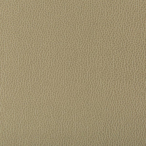 Lenox Elm by Kravet Contract Fabric