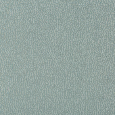 Lenox Mystic by Kravet Contract Fabric
