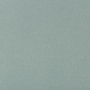 Lenox Mystic by Kravet Contract Fabric