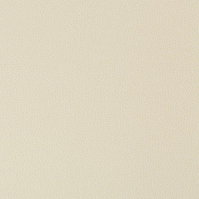 Lenox Stone by Kravet Contract Fabric