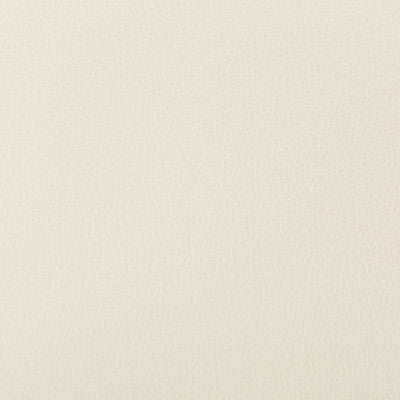 Lenox Blizzard by Kravet Contract Fabric