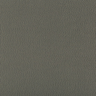 Lenox Shadow by Kravet Contract Fabric