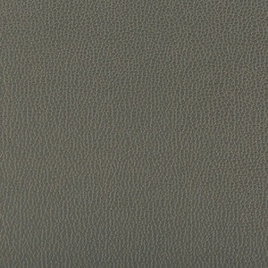 Lenox Shadow by Kravet Contract Fabric