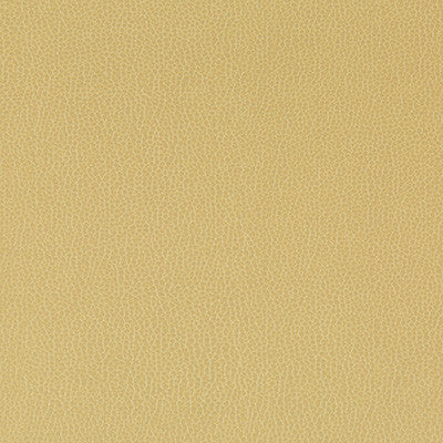 Lenox Sesame by Kravet Contract Fabric
