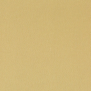 Lenox Sesame by Kravet Contract Fabric