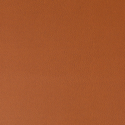 Lenox Canyon by Kravet Contract Fabric