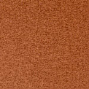 Lenox Canyon by Kravet Contract Fabric