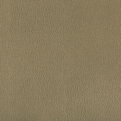 Lenox Bayleaf by Kravet Contract Fabric